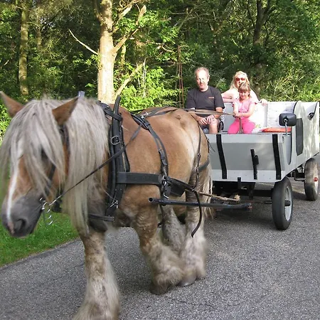 Bylderup-bov Nocleg ze śniadaniem Bylderup